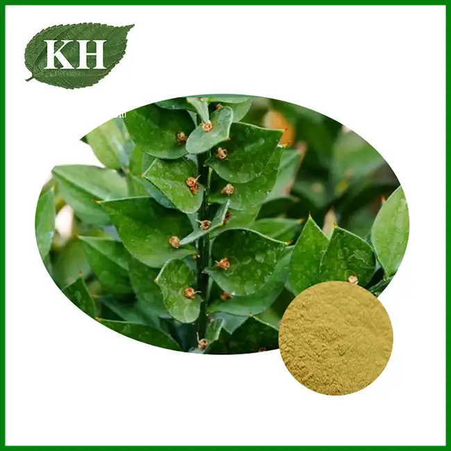 Butcher's Broom Extract